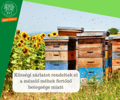 Községi zárlatot rendeltek el a mézelő méhek fertőző betegsége miatt